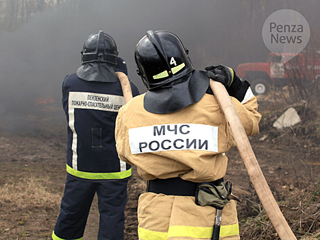 Количество лесных пожаров в Пензенской области уменьшилось, а площадь выросла