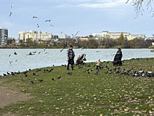 «Не хотел бы там жить»: тревел-блогер Марк Еремин раскритиковал Краснодар