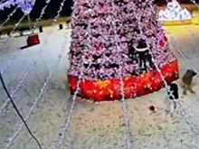 Вандалы разгромили главную елку в российском регионе