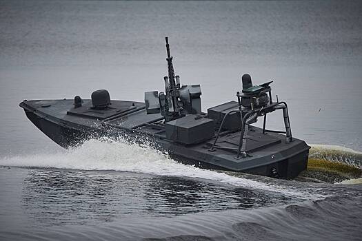 Страна НАТО захотела получить украинские морские беспилотники