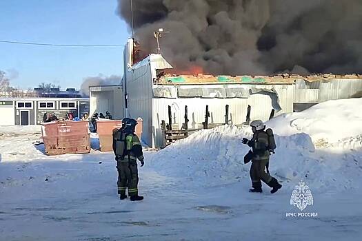 При пожаре в российском мебельном цехе пострадали два человека