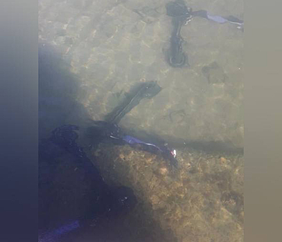 Электросамокаты оказались на дне Байкала