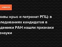 Головы крыс и патронат РПЦ: РАН нашла признаки лженауки в исследованиях кандидатов в академики
