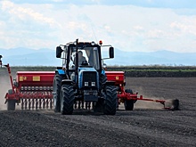 Первые 110 га сельхозугодий засеяны зерновыми культурами в Нижегородской области