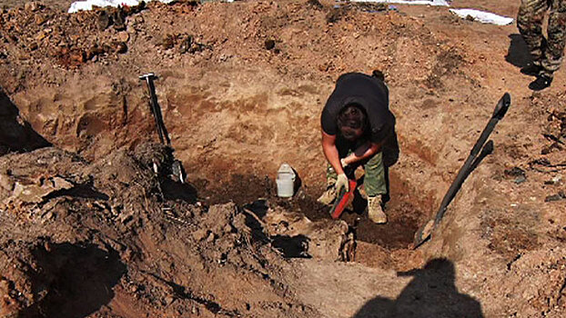 Более 240 останков советских воинов обнаружены в ходе экспедиции РВИО подо Ржевом