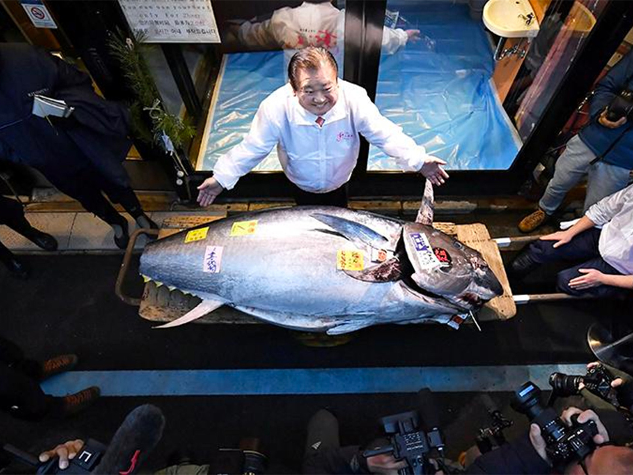 В Токио самый дорогой тунец в этом году был продан за $800 тыс. -  Рамблер/финансы