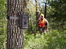 В лесах Свердловской области будет установлено 140 фотоловушек для поимки поджигателей