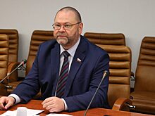 Мельниченко подверг критике позицию Германии по Крыму