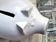 Депутаты Башкирии намерены на три года освободить от налога аграриев