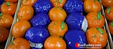 Назван ТОП-5 овощей и фруктов в экспортной корзине Турции