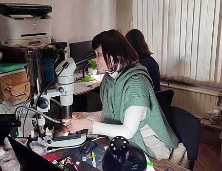 Древние жители Кавказа создавали сложные орудия для охоты и разделки мяса из простых каменных пластинок