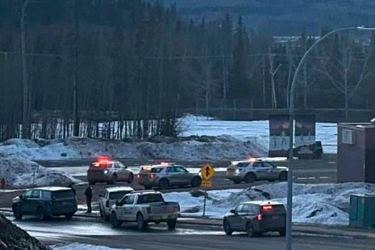 Стало известно, кто мог совершить массовое убийство в школе в Канаде