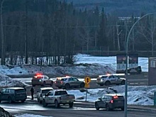 Стало известно, кто мог совершить массовое убийство в школе в Канаде