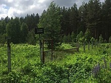 В ликвидации свалки ТБО в Костино и Кильмезского захоронения ядохимикатов примет участие Федеральный экологический оператор