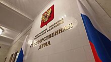 Госдума утвердила штрафы за нарушение карантина и уголовную ответственность за фейки о коронавирусе