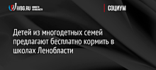 Детей из многодетных семей предлагают бесплатно кормить в школах Ленобласти