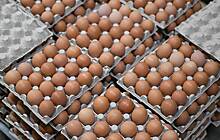 В Госдуме ответили на заявление о справедливой цене яиц