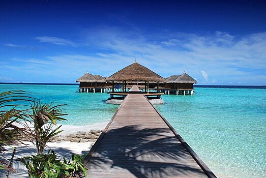 Отель на Мальдивах предложил клиентам год неограниченного проживания за $30 000