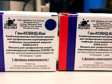 Боливия намерена купить российскую вакцину от COVID-19