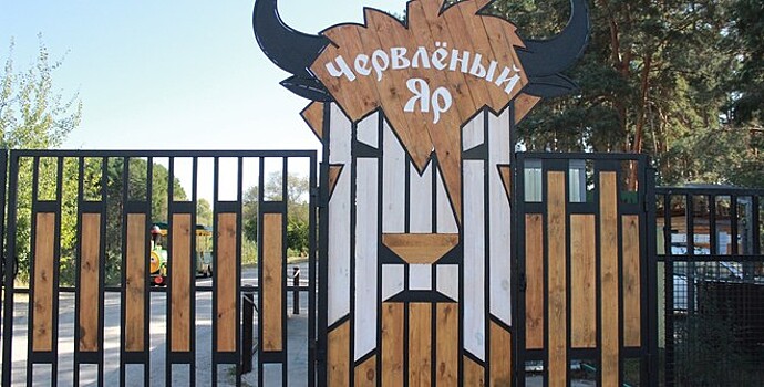 В Воронеже сняли ролик об этапах жизни годовалой пони