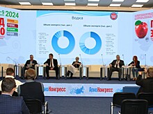 Объем продаж водки в России снизится в ближайшие пять лет