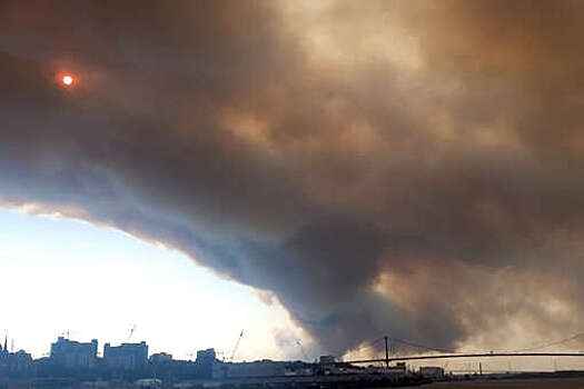 В канадском городе Галифакс объявили режим ЧП и начали эвакуацию граждан из-за лесных пожаров