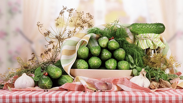 Хрустящие, ароматные, необычные: 3 рецепта заготовки огурцов на зиму