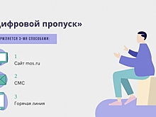 На работу и на дачу: ответы на самые популярные вопросы о цифровых пропусках