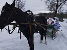 На Новый год – к Фету