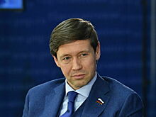 Сенатор Шейкин поддержал создание единой базы дропов