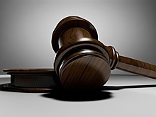 Осужденный во Франции болельщик Михаил Ивкин вернулся в Россию 