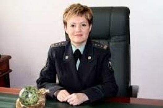 Главный судебный пристав Челябинской области ответит на вопросы журналистов
