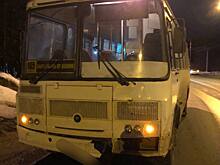 Рейсовый автобус насмерть сбил пенсионерку