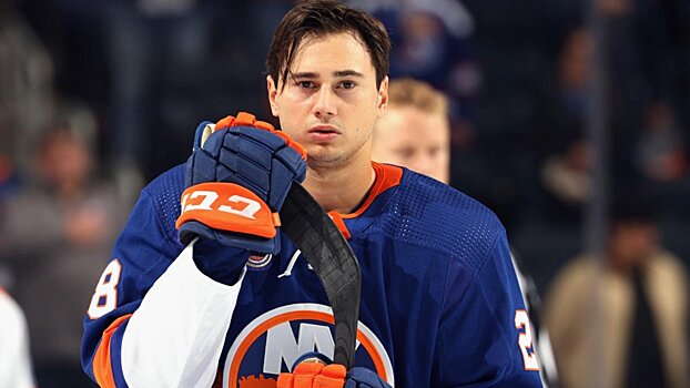 Романов о жизни на Лонг-Айленде: «От Москвы 40 минут отъедешь – тот же Лонг-Айленд: лес, прыгают зайчики, бегают еноты, птицы поют. До океана там 15 минут, правда»