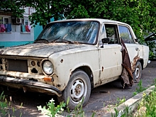 Ростовский сенатор предложила штрафовать за автохлам