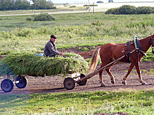 Бюджетные траты на госпрограмму АПК снизятся