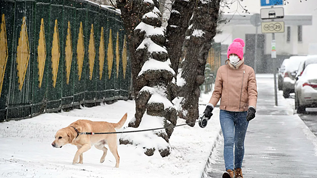 Украинец Зинченко поддерживает форму во время карантина вместе с собаками