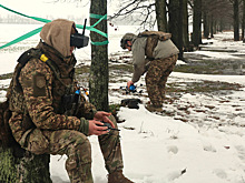 ВСУ применяют наземных роботов на фронте - СМИ