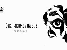 WWF и HiFi-сервис Звук запустили совместный в помощь снежным барсам