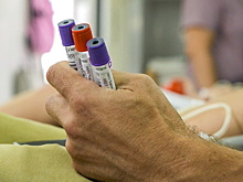 РПЦ предложила запретить вывозить из страны яйцеклетки и эмбрионы