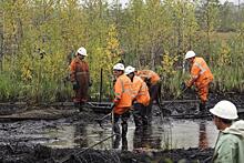 Рейтинг экологической открытости Creon и WWF возглавили четыре нефтегазовые компании
