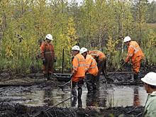 Рейтинг экологической открытости Creon и WWF возглавили четыре нефтегазовые компании