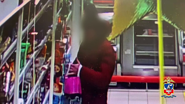 За кражу почти 100 шоколадок задержаны восемь раз судимая жительница Алтайского края и её подельник