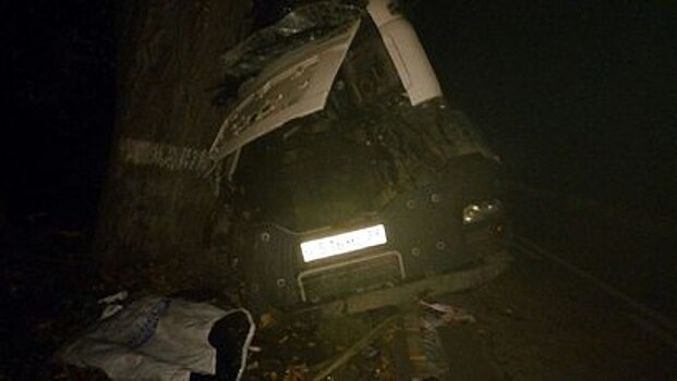 Грузовик врезался в дерево на трассе под Светлогорском