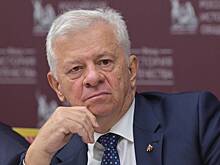 В Сербии заявили об открытом давлении со стороны Запада из-за дружбы с Россией