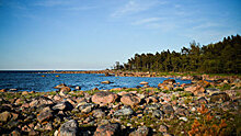 Yle (Финляндия): безмолвный гигант Финского залива