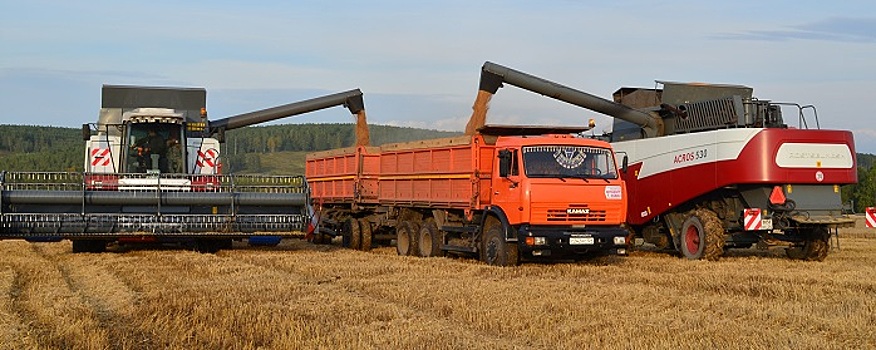 На поддержку аграриев Красноярского края в 2024 году заложили 10 млрд рублей