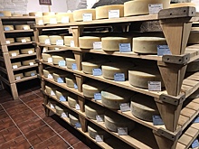 За полгода экспорт российских сыров и творога вырос на 20%