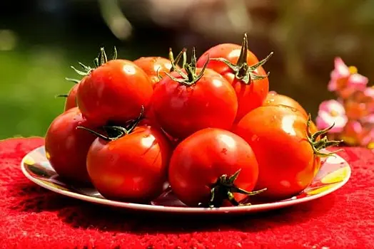 Медики назвали неожиданное положительное свойство помидоров