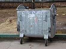 Более ста жалоб на мусор поступило от нижегородцев за два месяца
